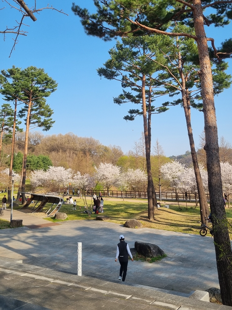 광교호수공원 신대저수지 내려가는 길