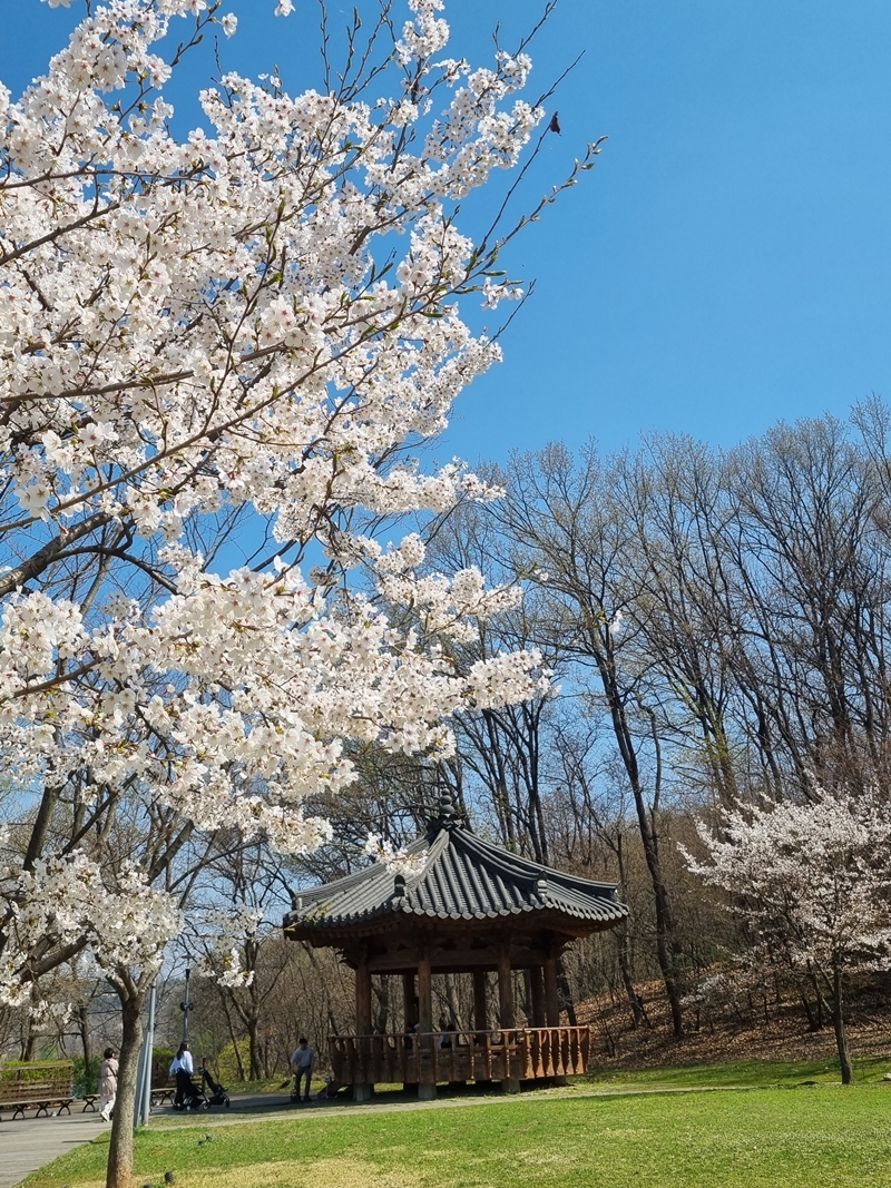 광교호수공원 신대저수지 정자