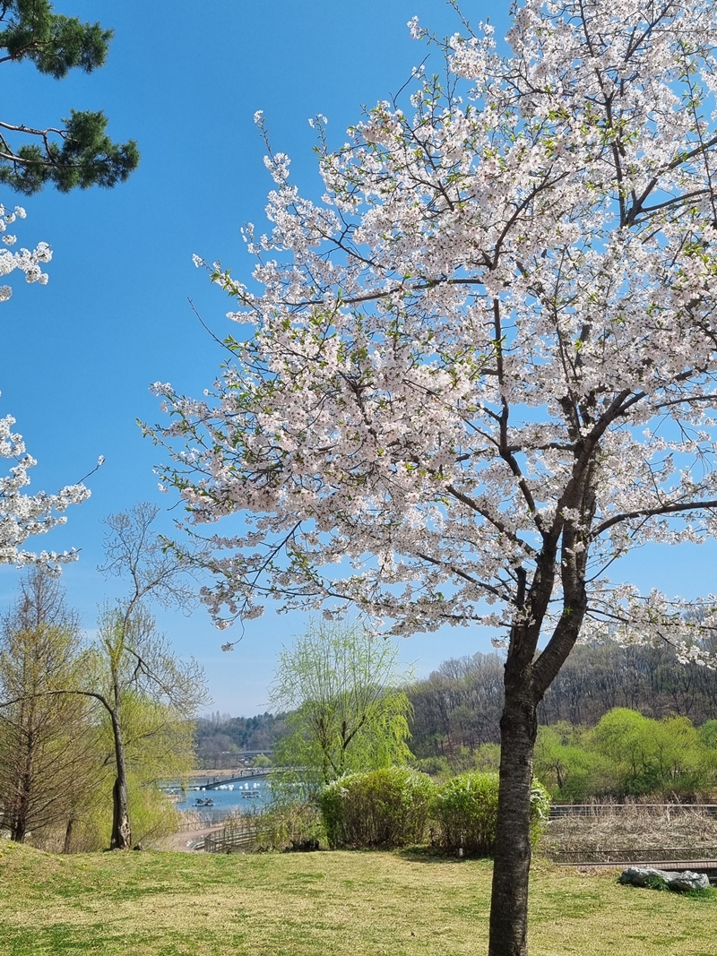 광교호수공원 신대저수지